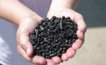 Global Biochar Market Analysis, Opportunities, Growth, Size, Share and Forecast