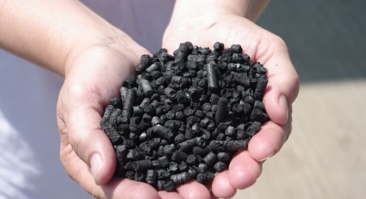 Global Biochar Market Analysis, Opportunities, Growth, Size, Share and Forecast