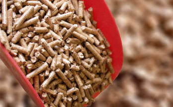 Global Biomass Pellet market