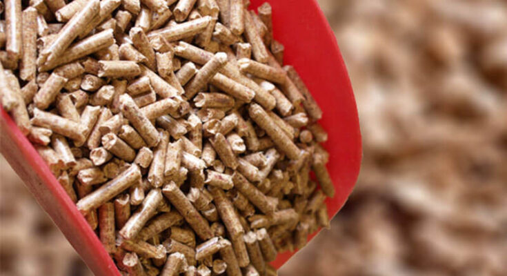 Global Biomass Pellet market