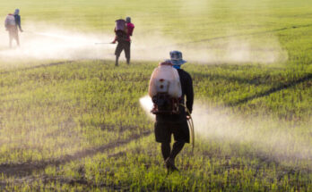 Global Crop Protection Chemicals Market Analysis, Opportunities, Share, Growth, Size and Forecast