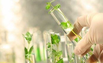 Global Green Chemicals Market