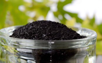 Global Humic Acid Market Analysis, Opportunities, Growth, Size, Share and Forecast