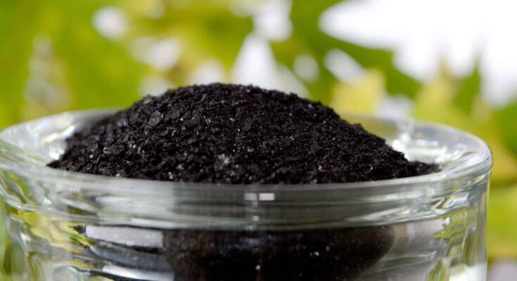 Global Humic Acid Market Analysis, Opportunities, Growth, Size, Share and Forecast