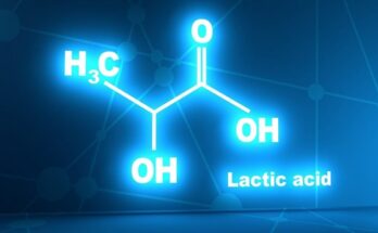 Global Lactic Acid Market