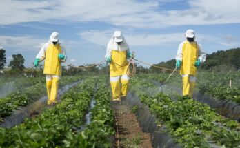 Global Pesticide Residue Testing Market Analysis, Opportunity, Growth, Size, Share, Trends and Forecast