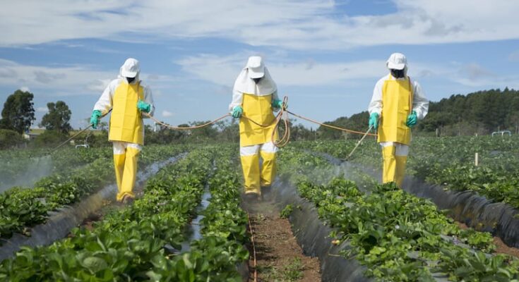 Global Pesticide Residue Testing Market Analysis, Opportunity, Growth, Size, Share, Trends and Forecast