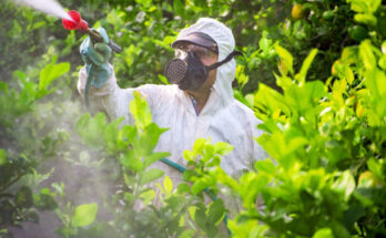 Global Pesticides Market Analysis, Growth, Opportunity, Size, Share, and forecast