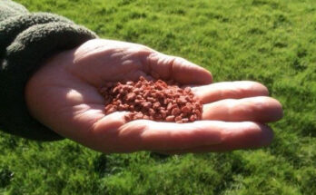 Global Potash Fertilizers Market Analysis, Growth, Share, Size, Trends & Forecast