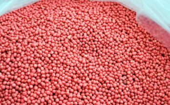 Global Seed Treatment Fungicides Market Analysis, Growth, Share, Size, Trends & Forecast