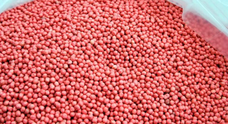 Global Seed Treatment Fungicides Market Analysis, Growth, Share, Size, Trends & Forecast