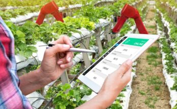 Global Smart Plantation Management Systems Market Analysis, Opportunities, Share, Growth, Size and Forecast