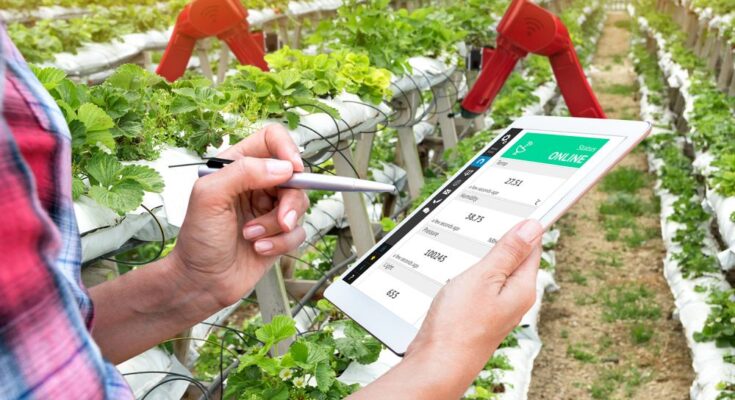 Global Smart Plantation Management Systems Market Analysis, Opportunities, Share, Growth, Size and Forecast