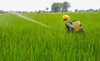 India Pesticide Market Analysis, Opportunities, Growth, Trends, Share, Size and Forecast