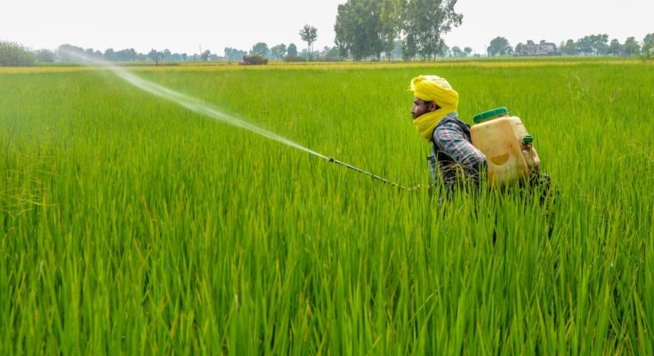 India Pesticide Market Analysis, Opportunities, Growth, Trends, Share, Size and Forecast