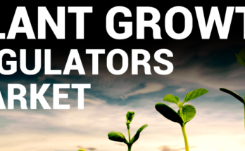 India Plant Growth Regulators Market Analysis, Opportunity, Growth, Size, Share, Trends and Forecast