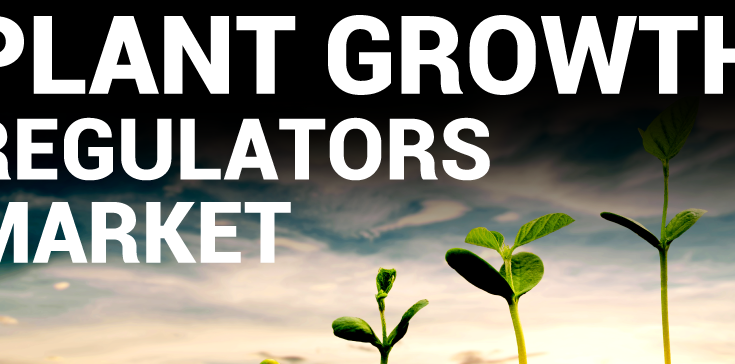 India Plant Growth Regulators Market Analysis, Opportunity, Growth, Size, Share, Trends and Forecast