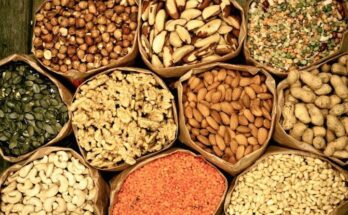 India Seed Market Analysis, Growth, Share, Size, Trends & Forecast