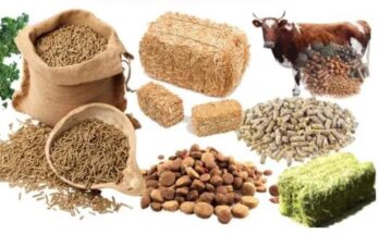 Middle East & Africa Animal Feed Additive Market Analysis, Opportunities, Growth, Trends, Share, Size and Forecast