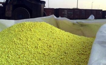 North America Sulphur Fertilizers Market Analysis, Opportunities, Share, Growth, Size and Forecast