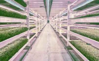 North America Vertical Farming Market Analysis, Opportunities, Share, Growth, Size and Forecast