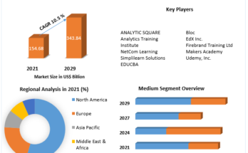 Programming Language Market