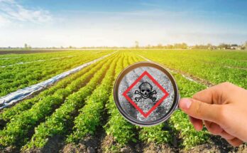 Saudi Arabia Pesticide Residue Testing Market Analysis, Growth, Opportunity, Size, Share, and forecast