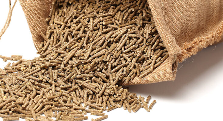 South America Animal Feed Additive Market Analysis, Opportunities, Growth, Size, Share and Forecast