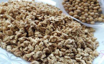 Textured Vegetable Protein Market