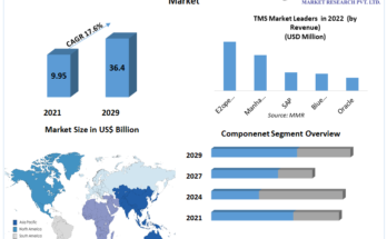 Transportation Management System Industry