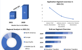 Travel Insurance Market