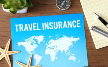 Travel Insurance Market Analysis, Growth, Share, Size, Trends & Forecast