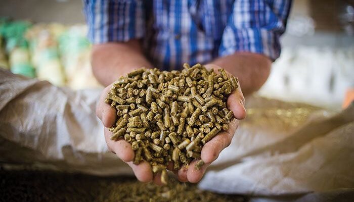 United States Animal Feed Market Analysis, Opportunity, Growth, Size, Share, Trends and Forecast