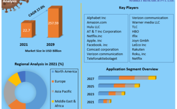 Video On Demand Market