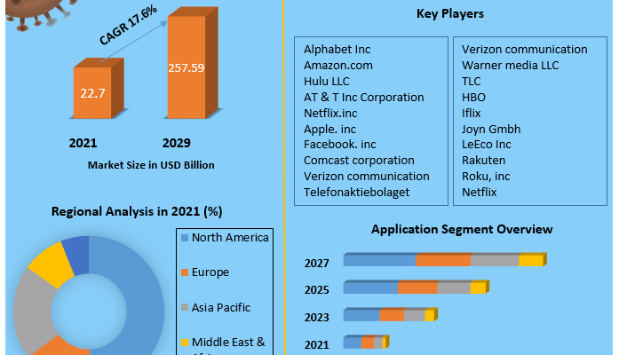 Video On Demand Market