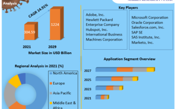 Web Marketing Market