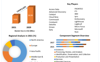 eDiscovery Market