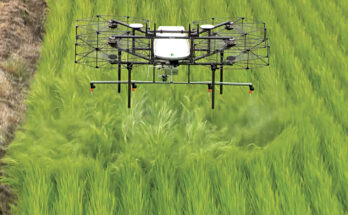 AI in Agriculture Market Opportunity, Analysis, Growth, Share, Trends Size & Forecast