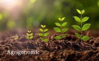 Agrigenomics Market Analysis, Opportunity, Demand, Share, Size, Trends & Forecast