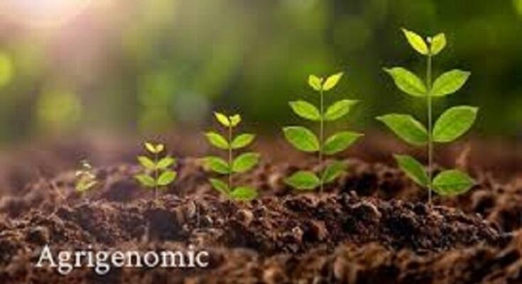 Agrigenomics Market Analysis, Opportunity, Demand, Share, Size, Trends & Forecast