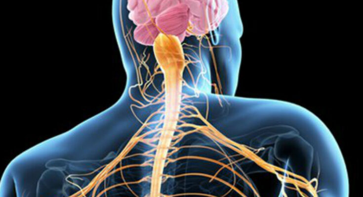 Amyotrophic Lateral Sclerosis (ALS)