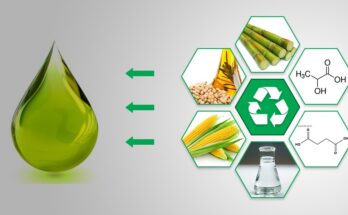 Global Green and Bio-Based Solvents Market