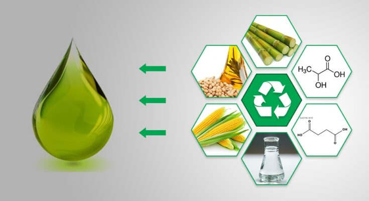 Global Green and Bio-Based Solvents Market