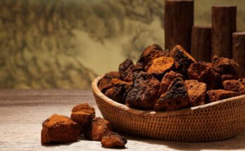 Chaga Mushroom Extract Market