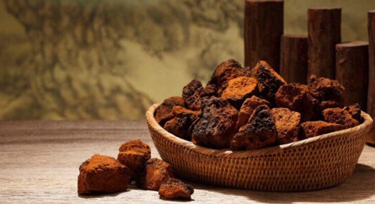 Chaga Mushroom Extract Market