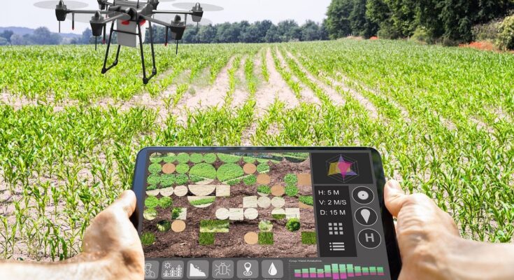 China AI in Agriculture Market Opportunity, Analysis, Growth, Share, Trends Size & Forecast