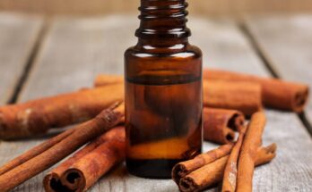 Cinnamon Extract Oil Market