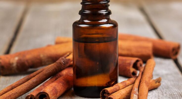 Cinnamon Extract Oil Market