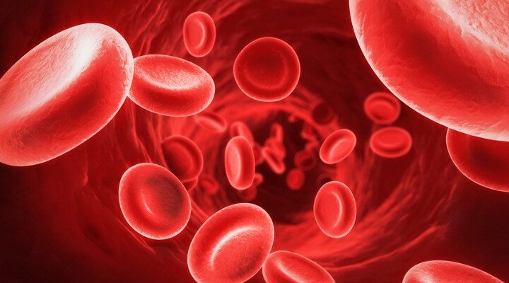 Colloids (Blood Plasma) Market