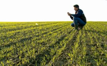 Crop Scouting Market Analysis, Opportunity, Demand, Share, Size, Trends & Forecast